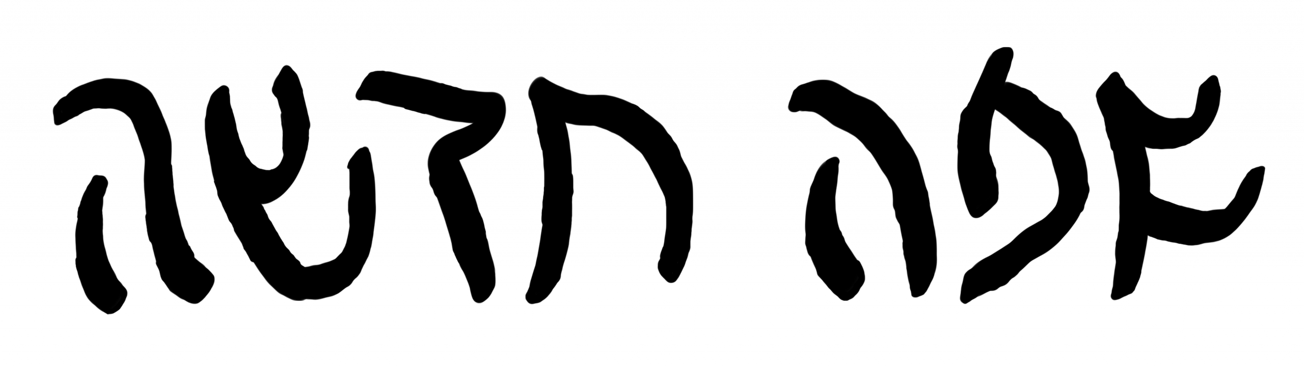 NewLingoLogoTemp (3) (1)
