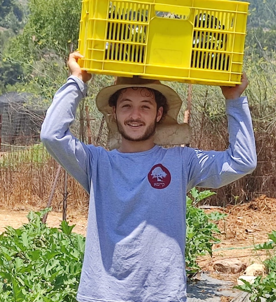 260423 BZ Yellow Crate